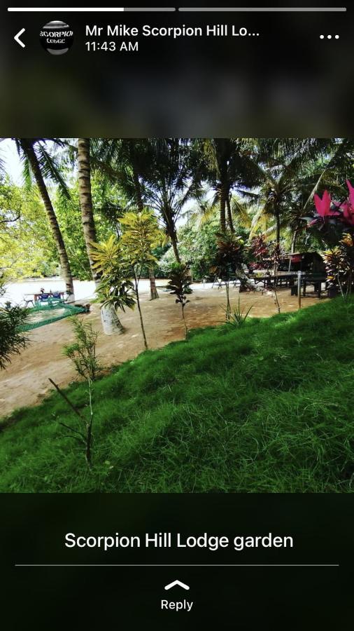 Scorpion Hill Lodge Busua 外观 照片