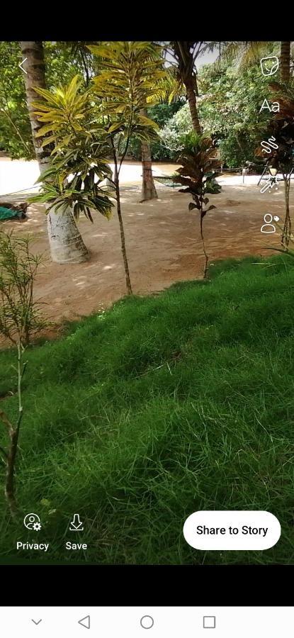 Scorpion Hill Lodge Busua 外观 照片