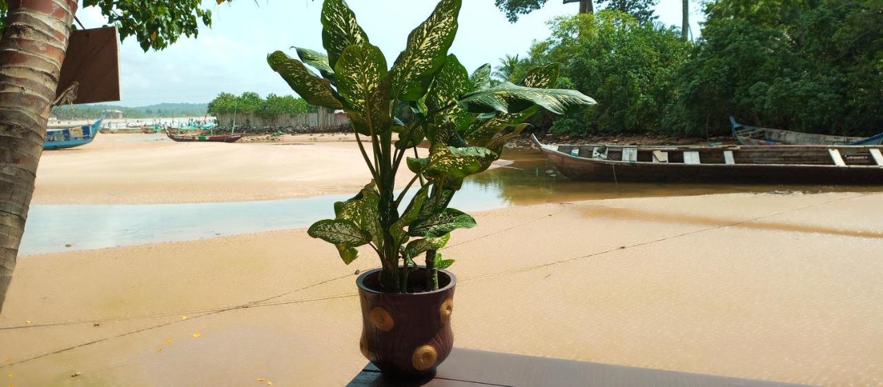 Scorpion Hill Lodge Busua 客房 照片