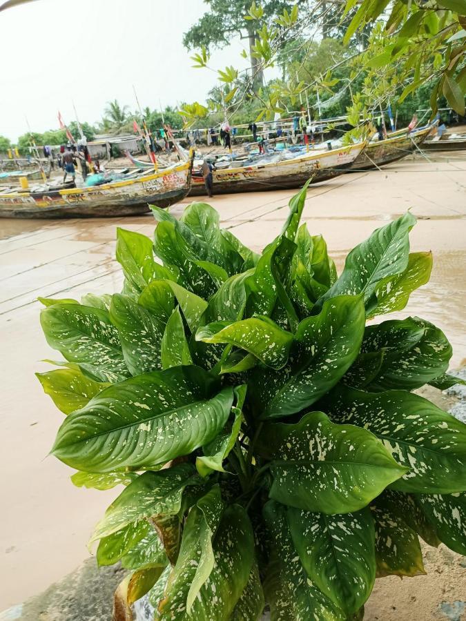 Scorpion Hill Lodge Busua 外观 照片