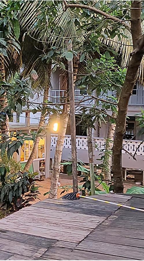 Scorpion Hill Lodge Busua 外观 照片
