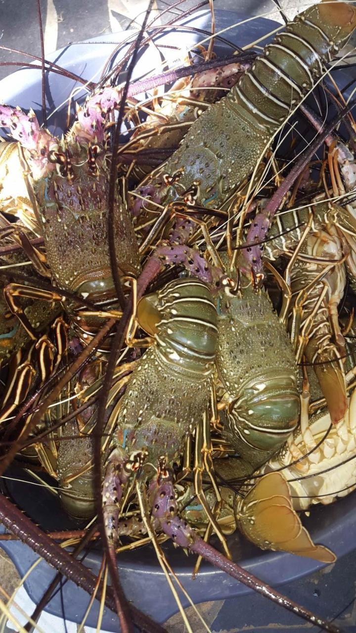 Scorpion Hill Lodge Busua 外观 照片