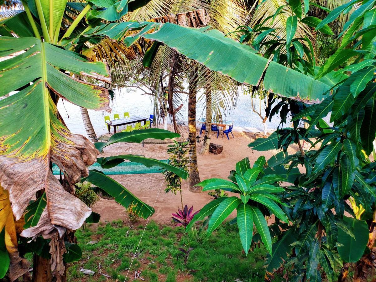 Scorpion Hill Lodge Busua 外观 照片