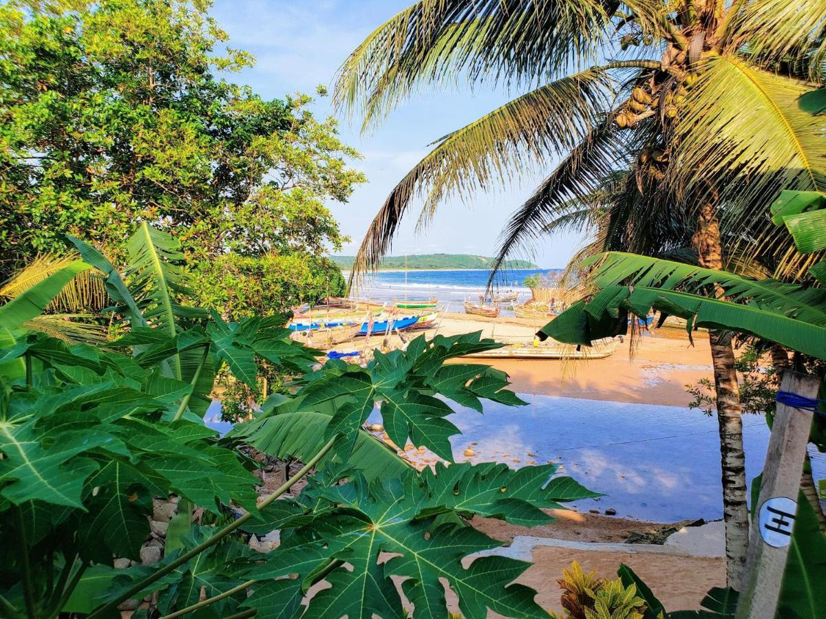 Scorpion Hill Lodge Busua 外观 照片
